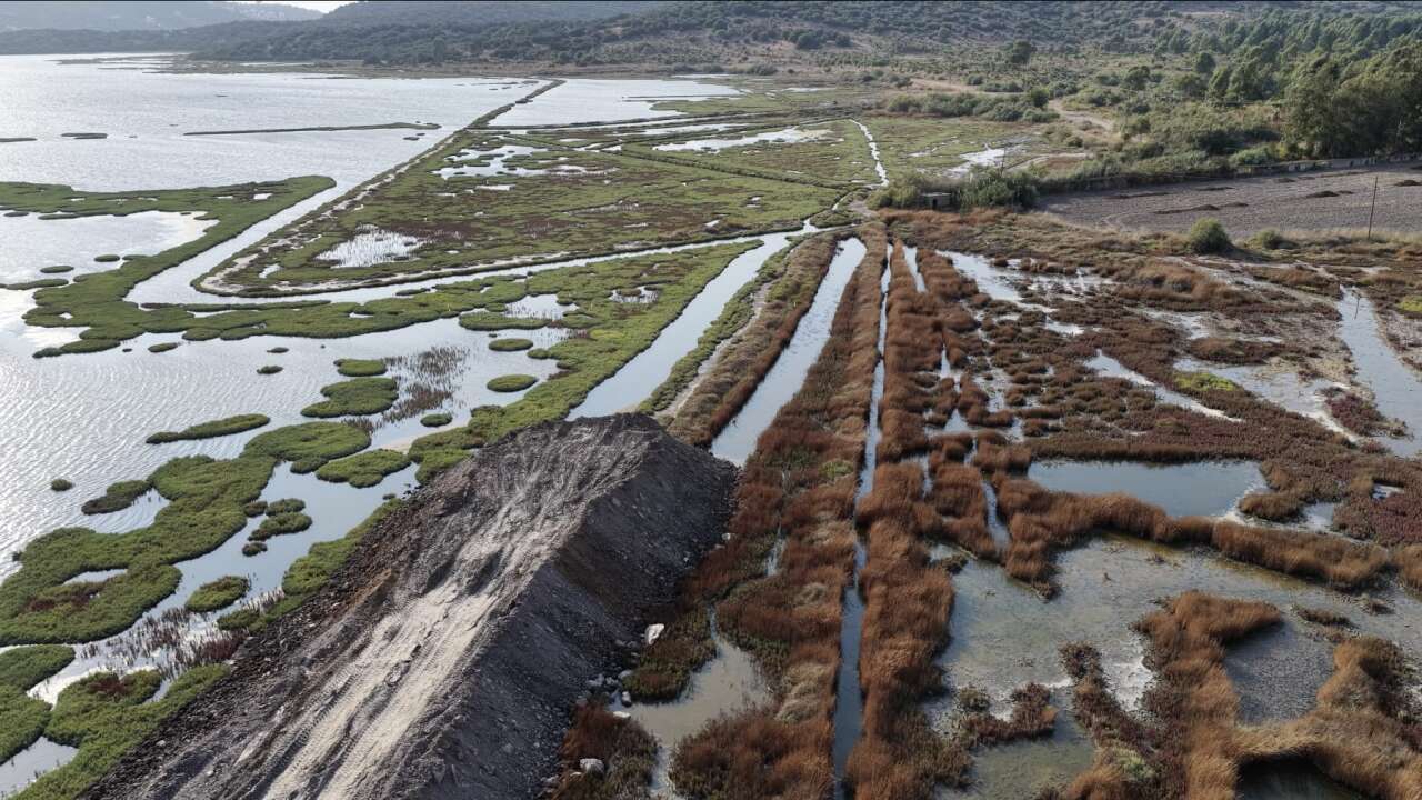 Milas Bargilya Kuş Cenneti’nde 359 Konutluk Proje ve Dolgu Tepkisi 7